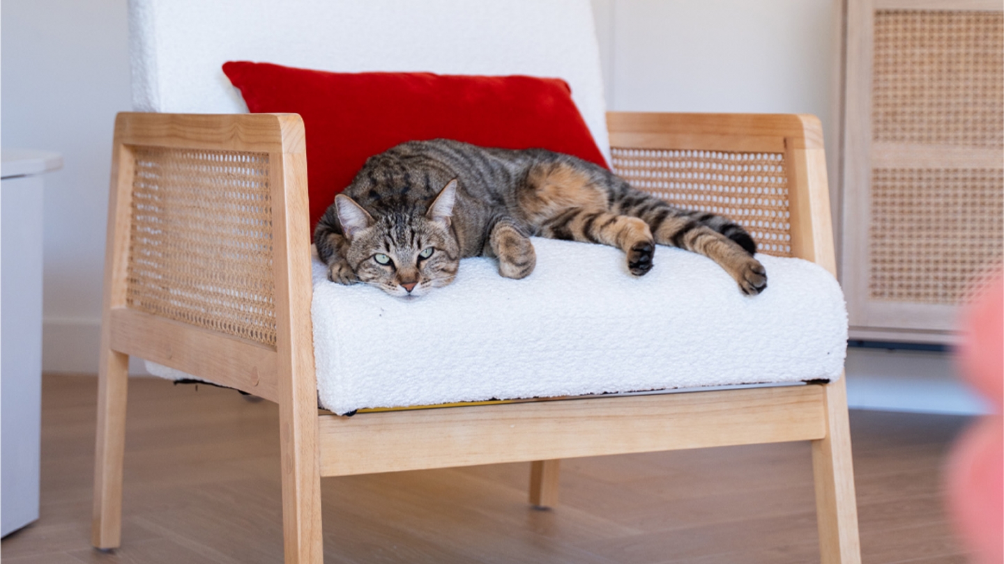 Fauteuil rotin et tissu bouclé écru - Mani Fauteuil rotin et tissu bouclé écru - Mani