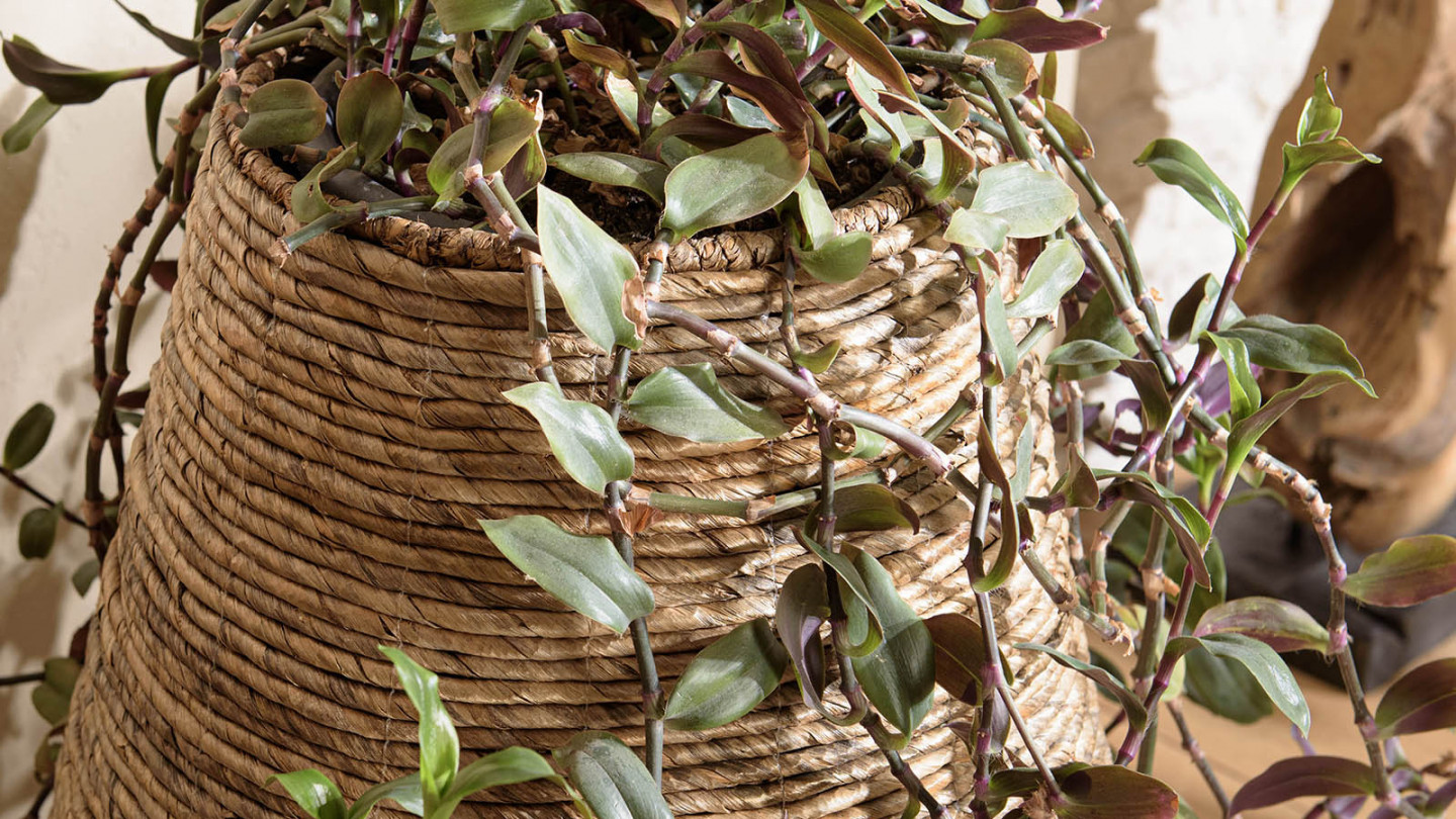 Cache pot modèle moyen en tissage d'abaca naturel - Sixtine